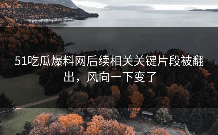 51吃瓜爆料网后续相关关键片段被翻出，风向一下变了